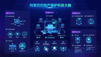 為何美國司法委員會(huì)副主席說美國公司打假遠(yuǎn)落后于阿里