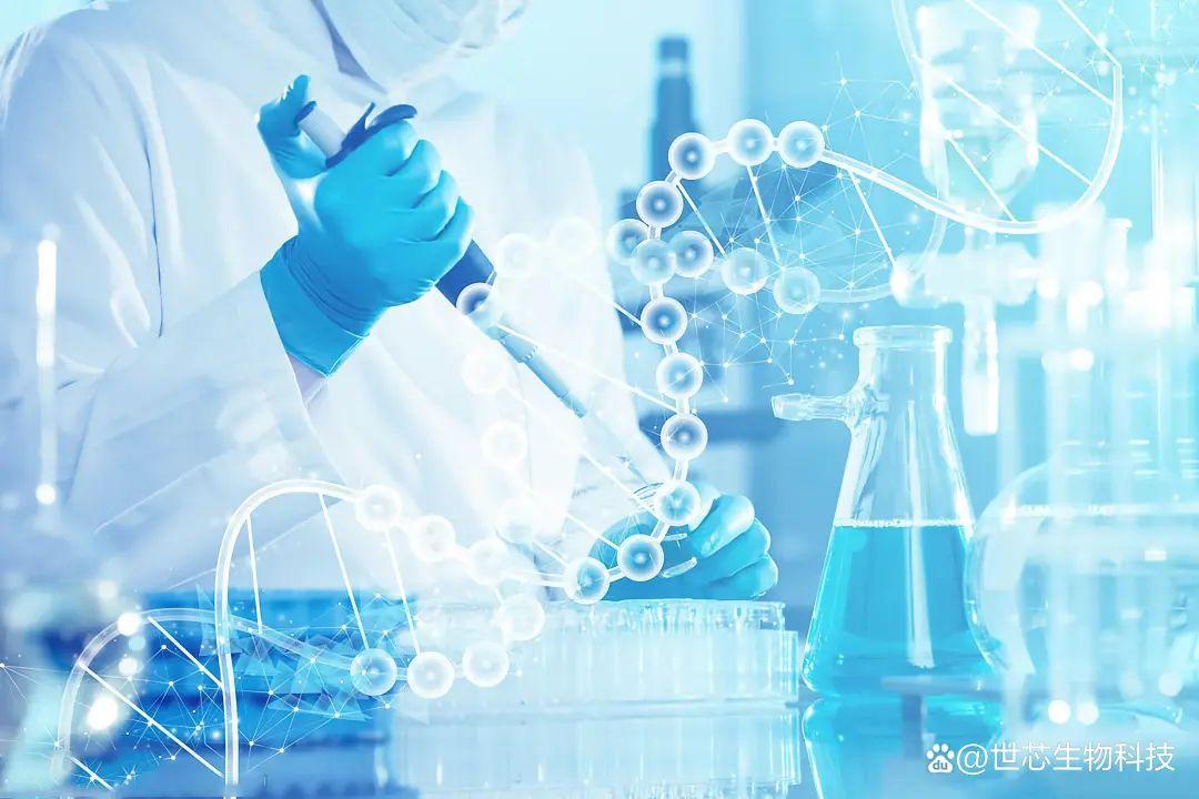 DeepSeek解讀2025年最值得關(guān)注的七大前沿科技 每一個都在改寫人類命運